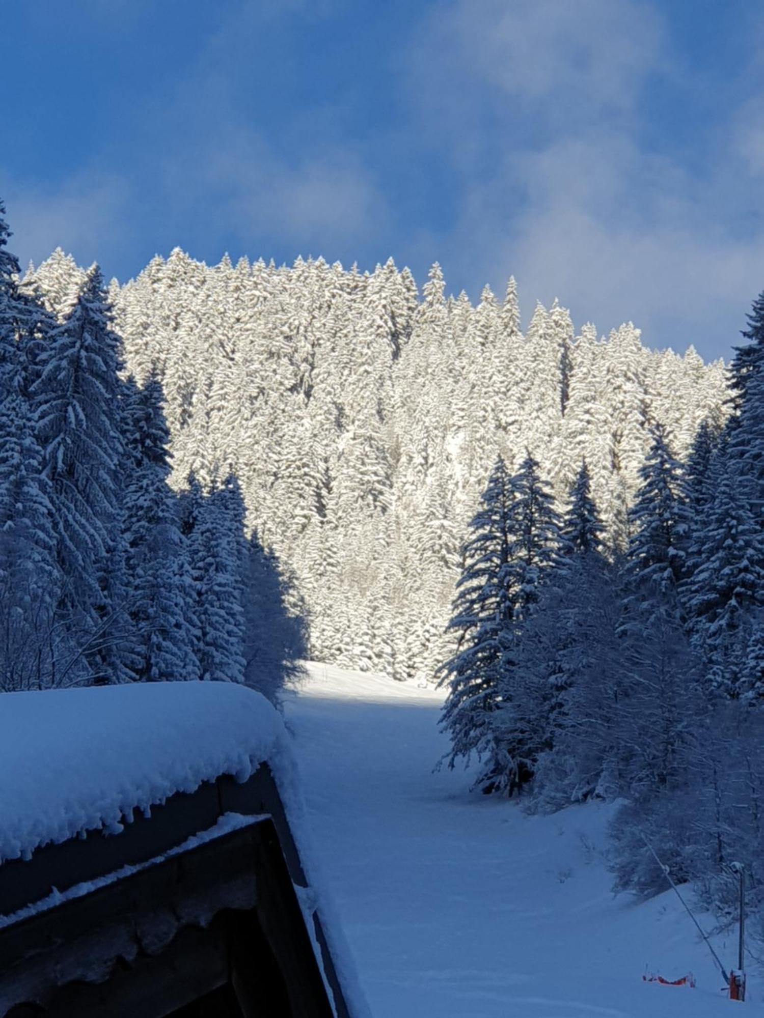 Chalet Les Avernes - Champagny En Vanoise, Domaine La Plagne Paradiski Eksteriør billede
