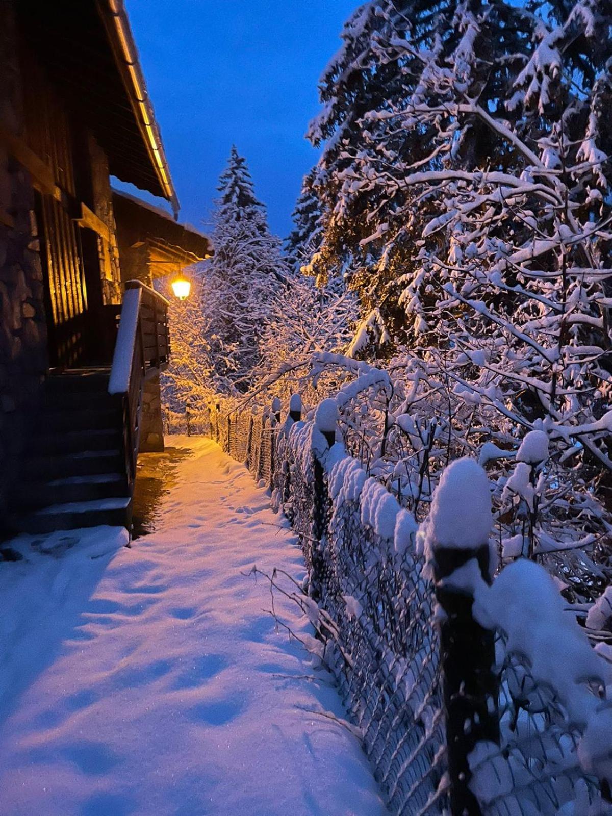 Chalet Les Avernes - Champagny En Vanoise, Domaine La Plagne Paradiski Eksteriør billede